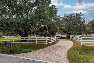 401 Kentucky Blue Cir, Apopka, FL 32712 - Photo 51