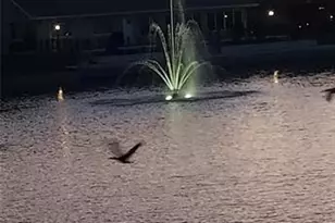 906 Bluewater Dr, Sun City Center, FL 33573 - Photo 5