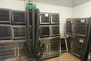 [Address not provided], Clermont, FL 34711 - Photo 13