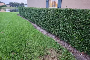 1049 N Honey Blossom Dr N, Orlando, FL 32824 - Photo 5