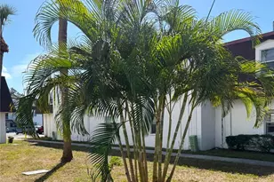 9002 Tudor Dr, Tampa, FL 33615 - Photo 5