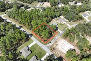 7482 N Gims Way, Citrus Springs, FL 34433 - Photo 1