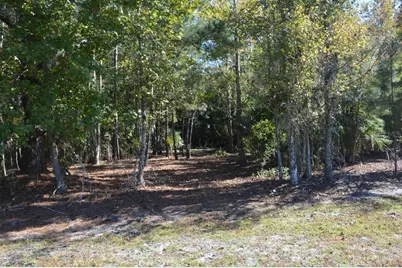 0 Hester Avenue Avenue, Sanford, FL 32773 - Photo 35