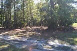 0 Hester Ave Ave, Sanford, FL 32773 - Photo 13