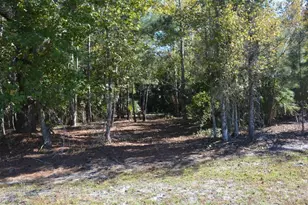 0 Hester Ave Ave, Sanford, FL 32773 - Photo 45