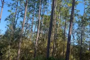 SW 128th Terrace Rd, Ocala, FL 34481 - Photo 1