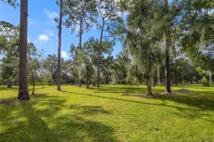 529 E Harding St, Orlando, FL 32806 - Photo 35