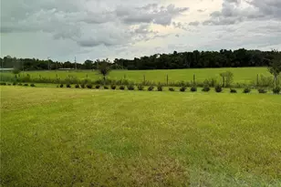 7959 Peace Lily Ave, Wesley Chapel, FL 33545 - Photo 17