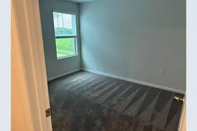 7959 Peace Lily Avenue, Wesley Chapel, FL 33545 - Photo 5