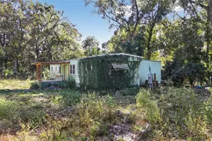 3140 NE 162 Pl, Citra, FL 32113 - Photo 5