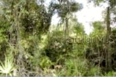 12325 & 12303 Stagg Road, Winter Garden, FL 34787 - Photo 7