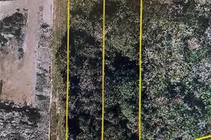 12325 & 12303 Stagg Rd, Winter Garden, FL 34787 - Photo 1