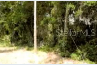 12325 & 12303 Stagg Road, Winter Garden, FL 34787 - Photo 5