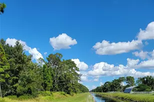 Dallas Blvd, Orlando, FL 32833 - Photo 1