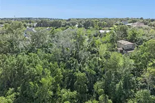 17660 County Rd 455, Montverde, FL 34756 - Photo 63