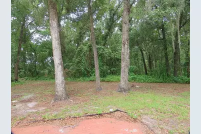 1174 Fern Lane, Deland, FL 32724 - Photo 23