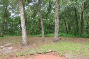 1174 Fern Ln, Deland, FL 32724 - Photo 23