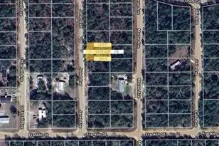 0 Janet Ave, Interlachen, FL 32148 - Photo 1