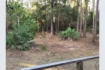 5125 Moore Street, Saint Cloud, FL 34771 - Photo 7