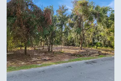 705 Newell Hill Road, Leesburg, FL 34748 - Photo 9