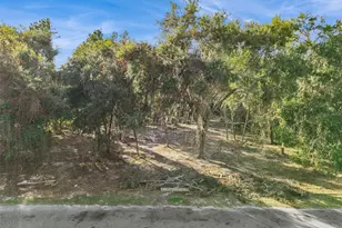 705 Newell Hill Rd, Leesburg, FL 34748 - Photo 1