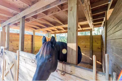 560 N Lake Pleasant Road, Apopka, FL 32712 - Photo 35