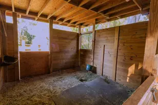 560 N Lake Pleasant Rd, Apopka, FL 32712 - Photo 47