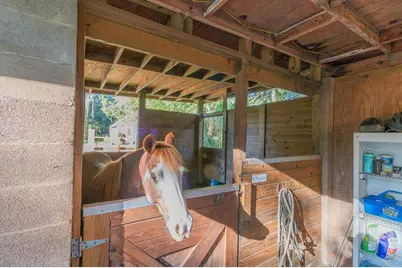 560 N Lake Pleasant Road, Apopka, FL 32712 - Photo 33