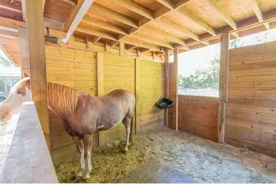 560 N Lake Pleasant Road, Apopka, FL 32712 - Photo 29