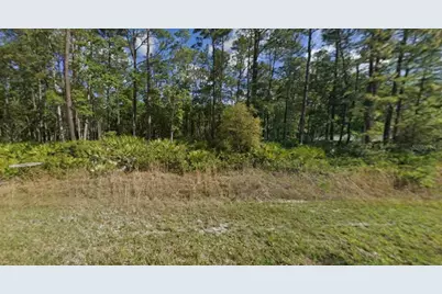 608 Hickory Nut Trail, Satsuma, FL 32189 - Photo 1