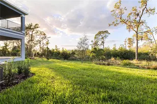 17384 Glossy Pomelo Wy, Winter Garden, FL 34787 - Photo 43