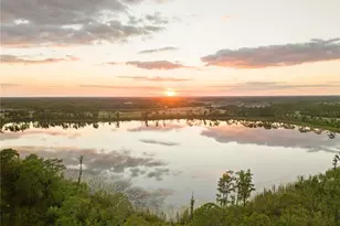 17384 Glossy Pomelo Wy, Winter Garden, FL 34787 - Photo 7