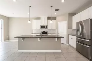 334 Winter Bliss Ln, Mount Dora, FL 32757 - Photo 5