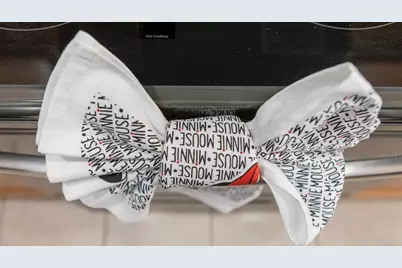 891 Assembly Court, Reunion, FL 34747 - Photo 95