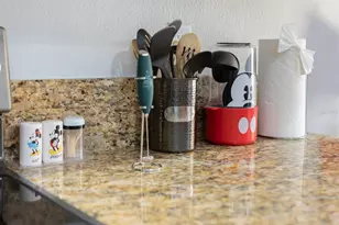 891 Assembly Ct, Reunion, FL 34747 - Photo 97