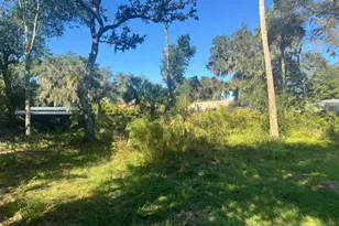 5841 Boggs Ford Rd, Port Orange, FL 32127 - Photo 13