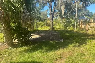 5841 Boggs Ford Rd, Port Orange, FL 32127 - Photo 11