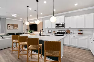 1033 Breezy Palms Way, Clermont, FL 34714 - Photo 9