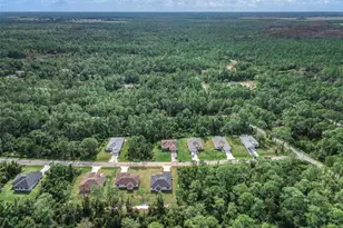 8736 Capilla St, Sebring, FL 33872 - Photo 53