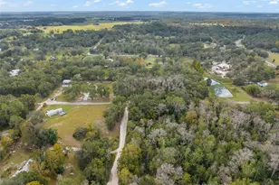 22126 Quale Grove Rd, Eustis, FL 32736 - Photo 69