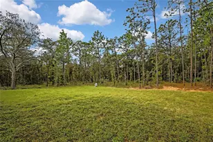 16007 Magpie Rd, Weeki Wachee, FL 34614 - Photo 53