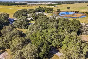 14233 Tassleflower Ct, Astatula, FL 34705 - Photo 31