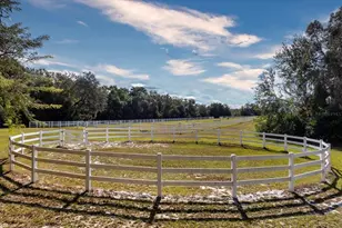 209 Kentucky Blue Cir, Apopka, FL 32712 - Photo 47