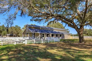 209 Kentucky Blue Cir, Apopka, FL 32712 - Photo 9