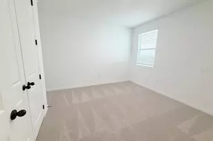 30155 Rustic Mill St, Mount Dora, FL 32757 - Photo 9