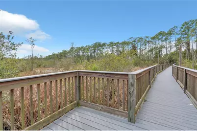 2908 Banana Palm Drive, Kissimmee, FL 34747 - Photo 67