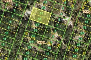 1196 Harbour Palm Ct, Punta Gorda, FL 33983 - Photo 1