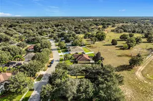 3361 Rolling Hills Ln, Apopka, FL 32712 - Photo 29