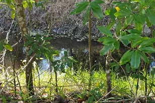 1601 Big Tree Rd, Daytona Beach, FL 32119 - Photo 59