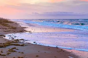 3510 S Ocean Shore Blvd, Flagler Beach, FL 32136 - Photo 41